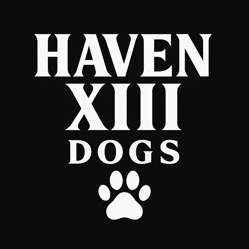 HAVEN XIII DOGS