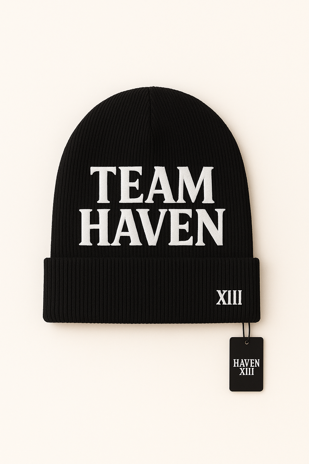 TEAM HAVEN SKULLY