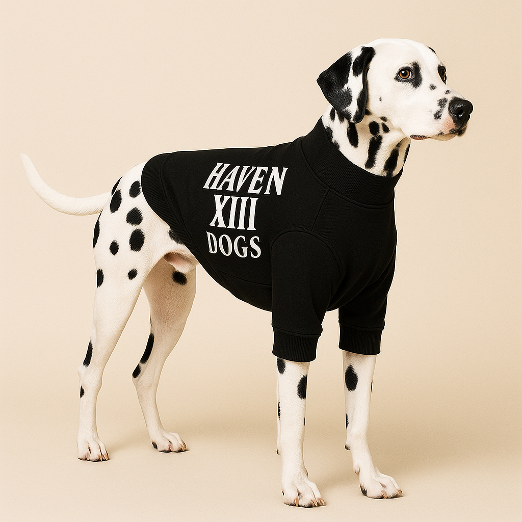 The HAVEN XIII DOGS Signature Sweater