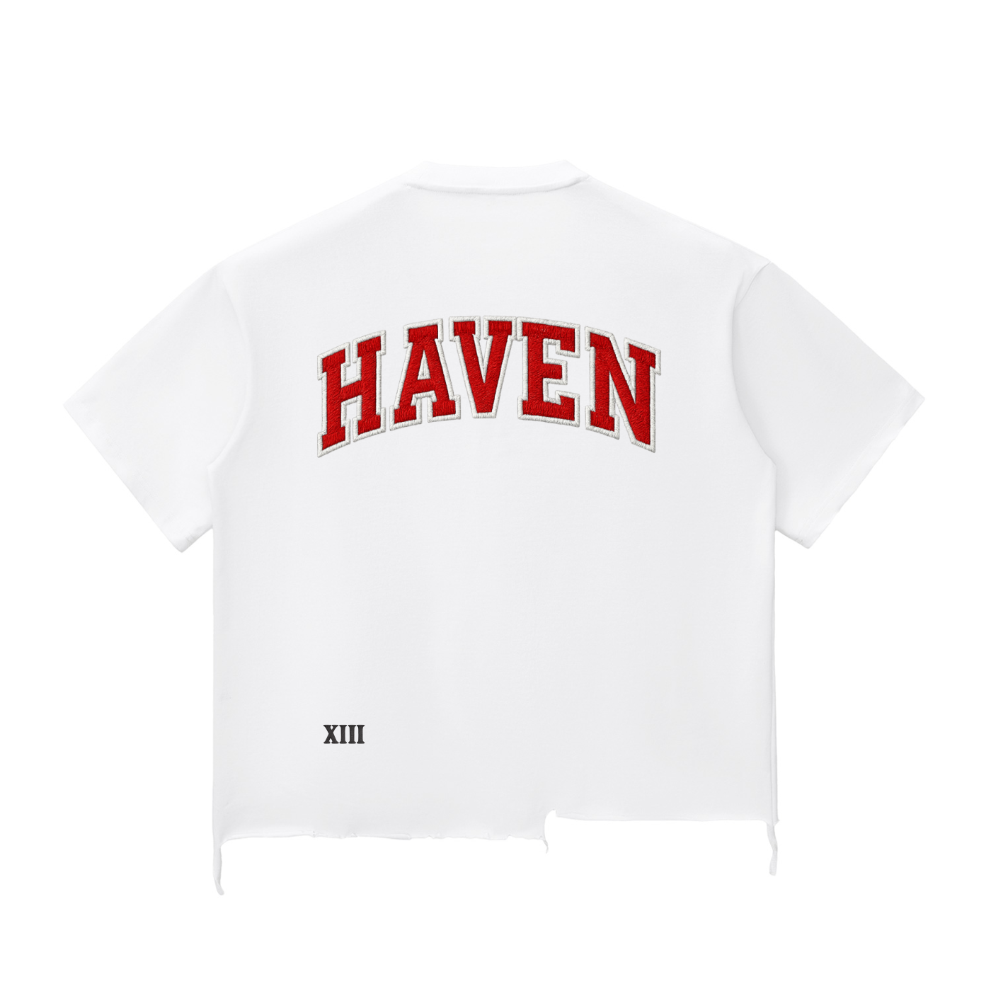 The LIVE LIFE Distressed Tee